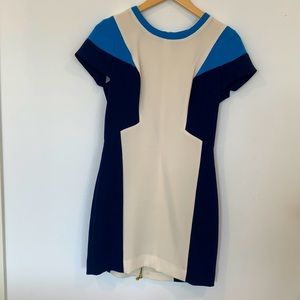 Gorgeous Club Monaco dress